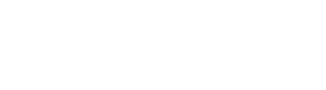 AMICO Group Logo
